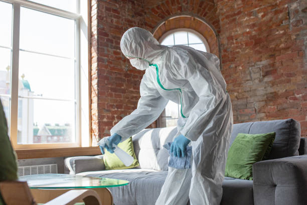 Why You Should Choose Our Mold Remediation Services in Mansfield, MO